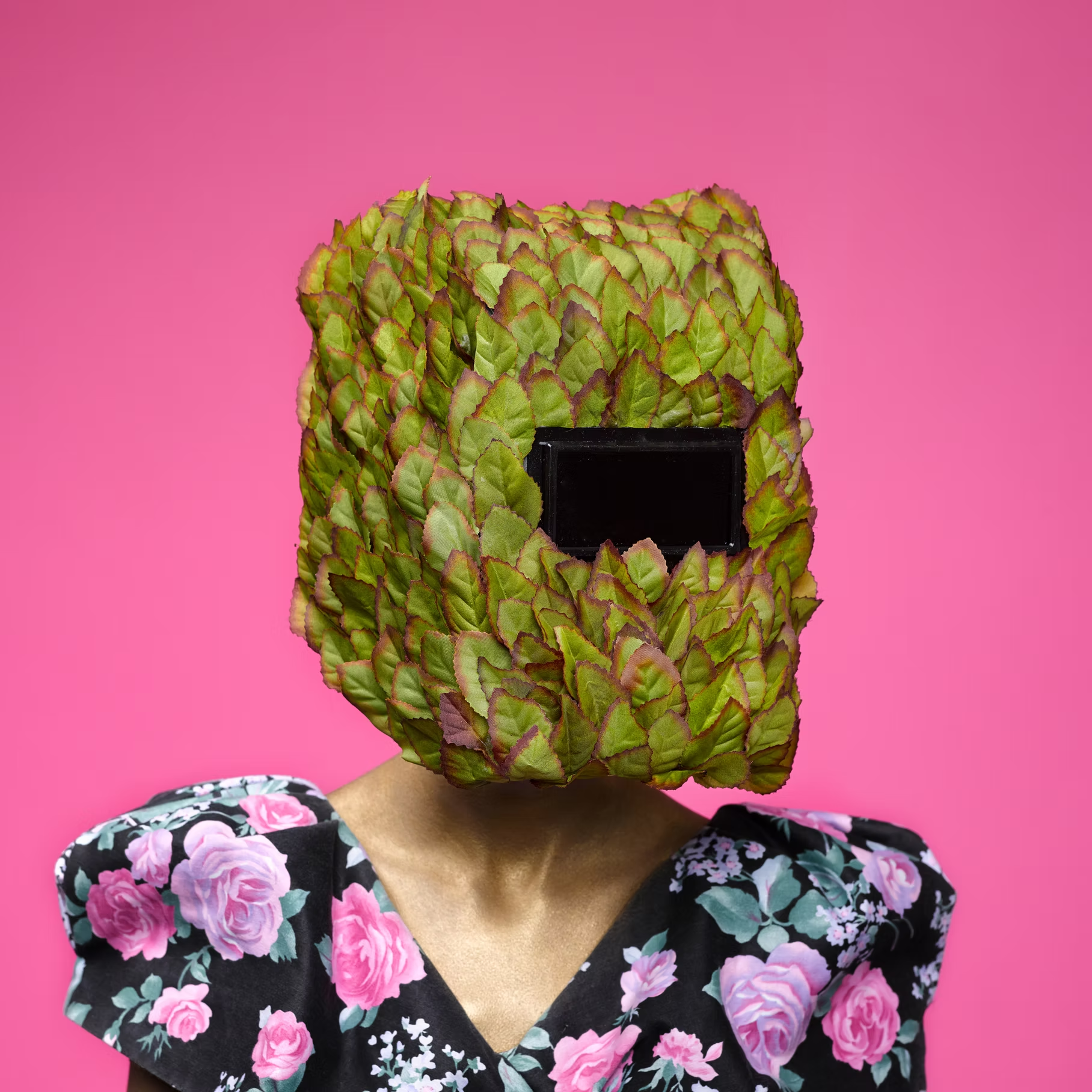 Meme Marketing: Why Brands Can’t Stop Speaking in GIFs